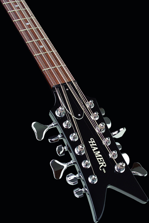 фотографии бас гитары Chaparral 12-String Bass (B12L)