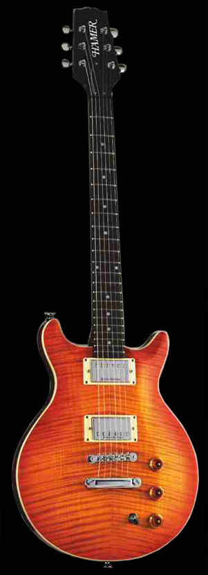 Фото гитар Sunburst Archtop Flametop SATF