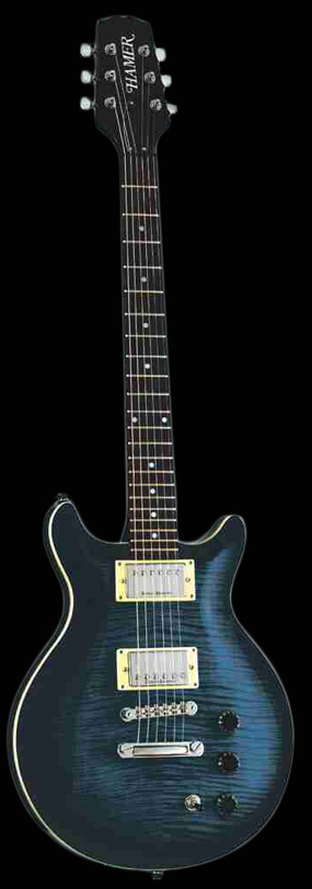 Фото гитар Sunburst Archtop Flametop SATF