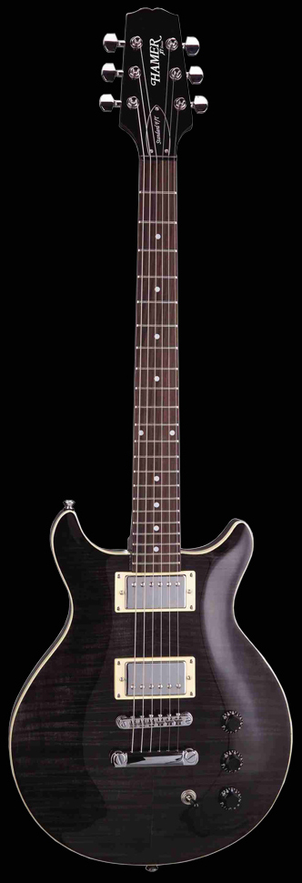 Фото гитар Sunburst Archtop Flametop SATF