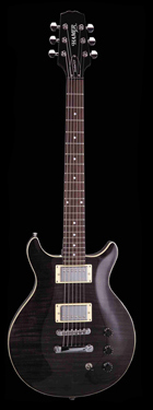 Фото гитар Sunburst Archtop Flametop SATF