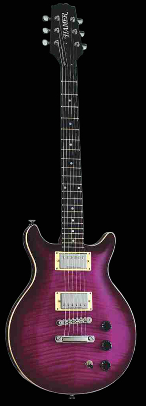 Фото гитар Sunburst Archtop Flametop SATF