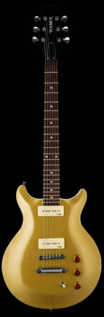 'фотография электрогитары Sunburst Archtop P-90 SATP90