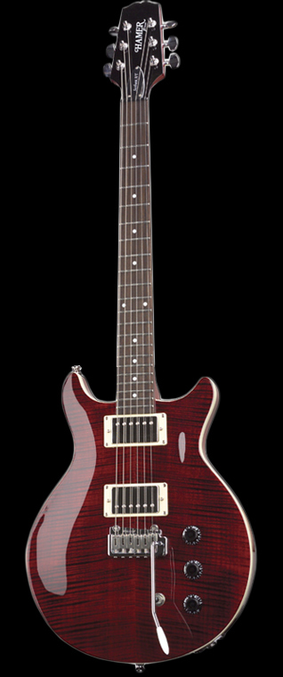 фотография электрогитары Sunburst Flametop Wilkinson (SATFW)