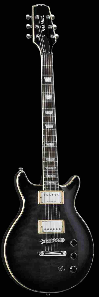 Фотографии гитар Sunburst Archtop Quilt (SATQ)